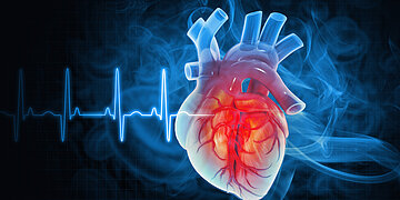 Das Bild zeigt die Illustration eines menschschlichen Herzens vor der der Kurve eines ELektrokardiogramms (EKG)