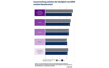 Grafik zeigt den Zusammenhang zwischen der H&auml;ufigkeit von COPD und dem Raucheranteil.