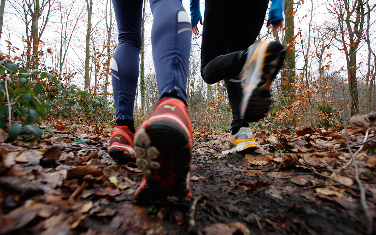 Foto: Eine Nahaufnahme von Beinen, die &uuml;ber einen Waldboden mit Bl&auml;ttern laufen.