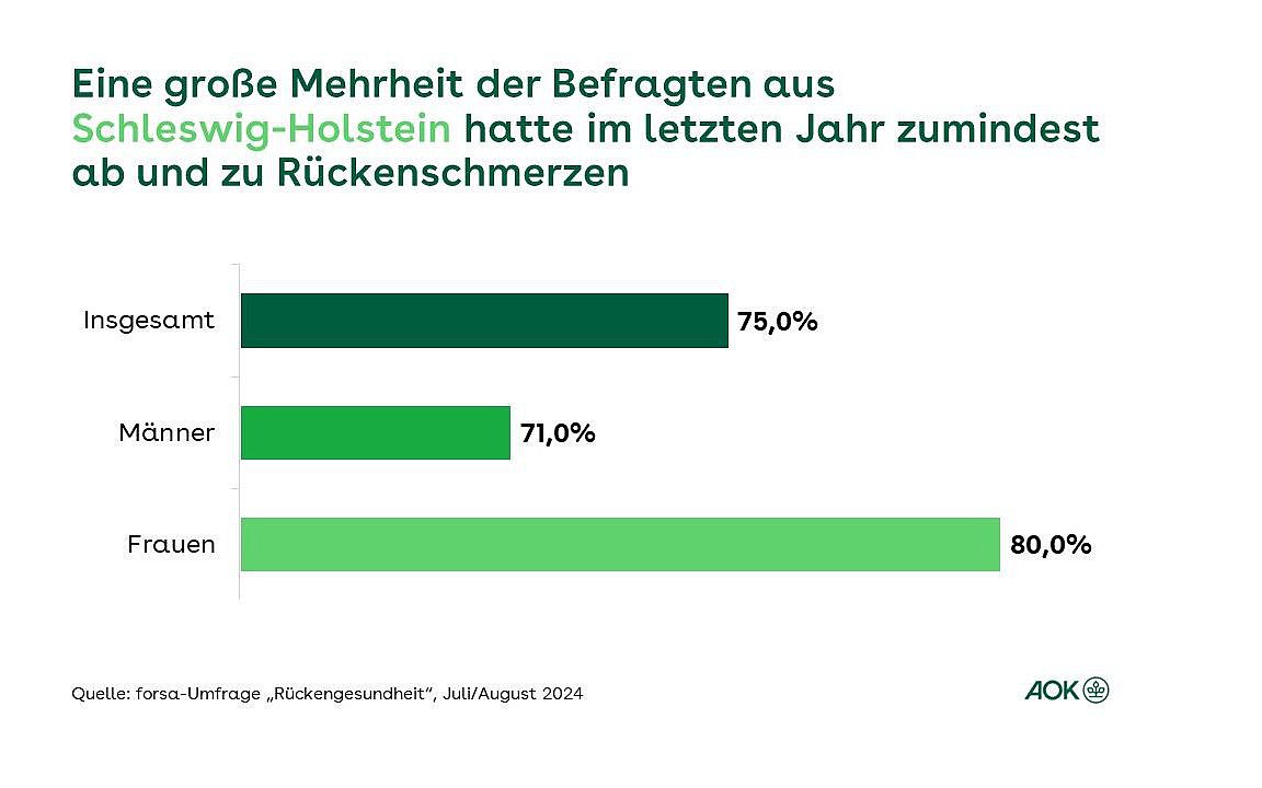 Die Grafik zeigt, wie viele Befragten in Schleswig-Holstein von Rückenschmerzen betroffen sind.