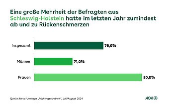 Rückenschmerzen in Schleswig-Holstein Die Grafik zeigt, wie viele Befragten in Schleswig-Holstein von Rückenschmerzen betroffen sind.