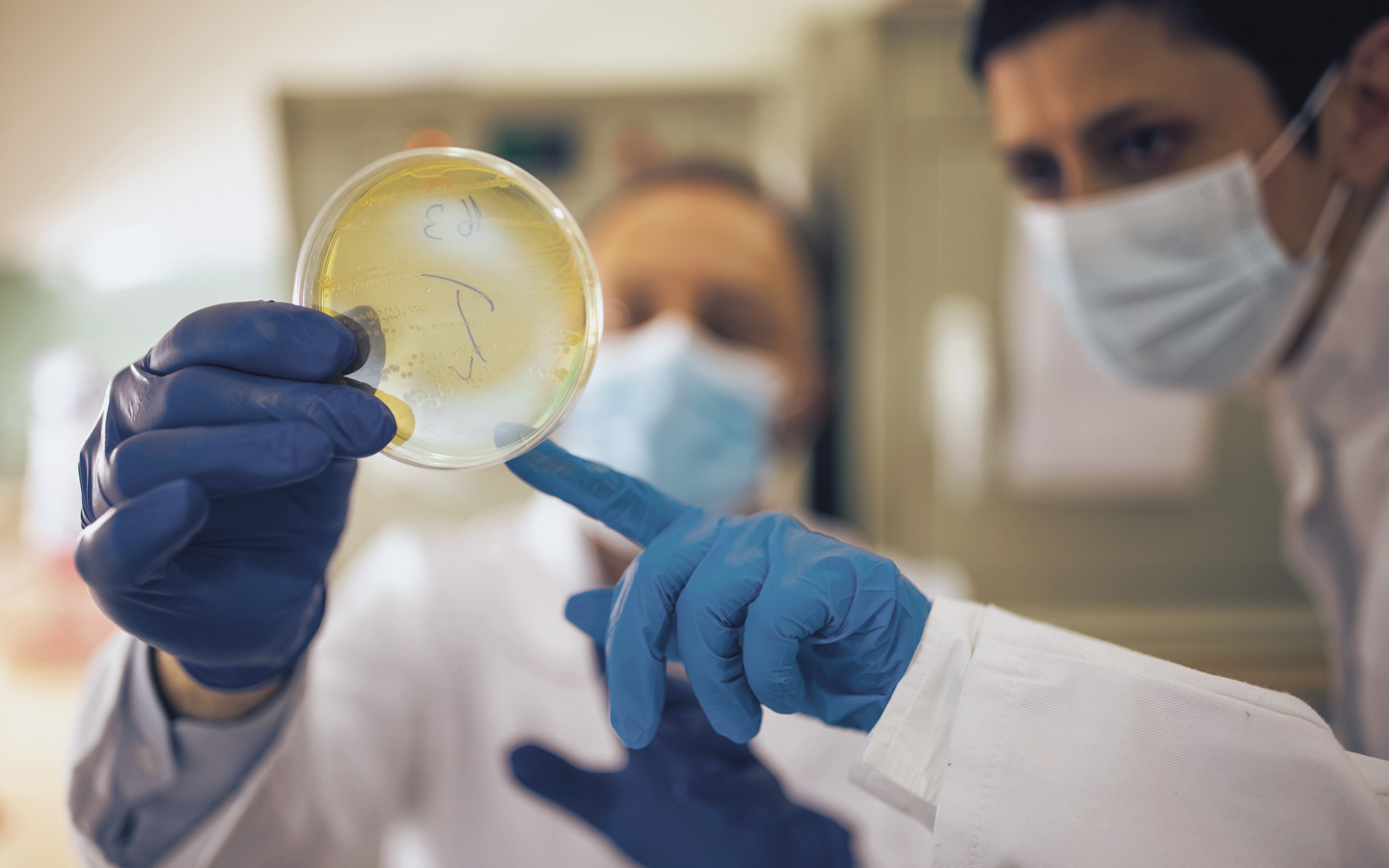 Foto: Zwei medizinische Kräfte schauen sich ein Untersuchungsergebnis in einer Petrischale an.
